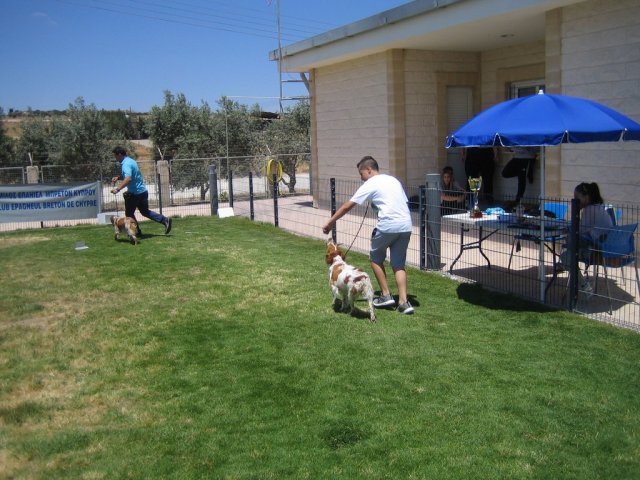 15th national breed show